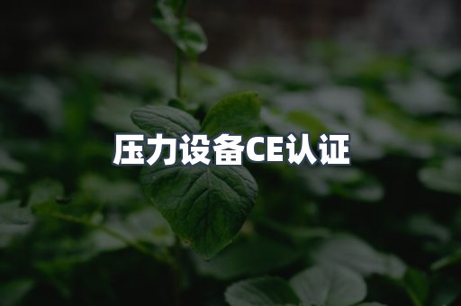 口罩防护类系列CE认证