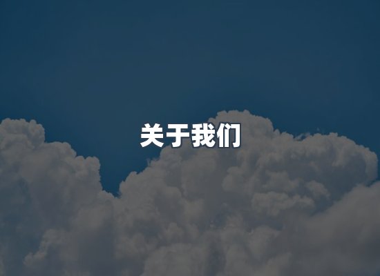 专业团队